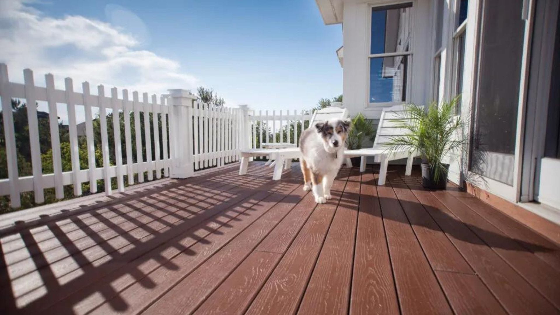 Showing how to clean Trex decking and a drying surface after a thorough rinse.