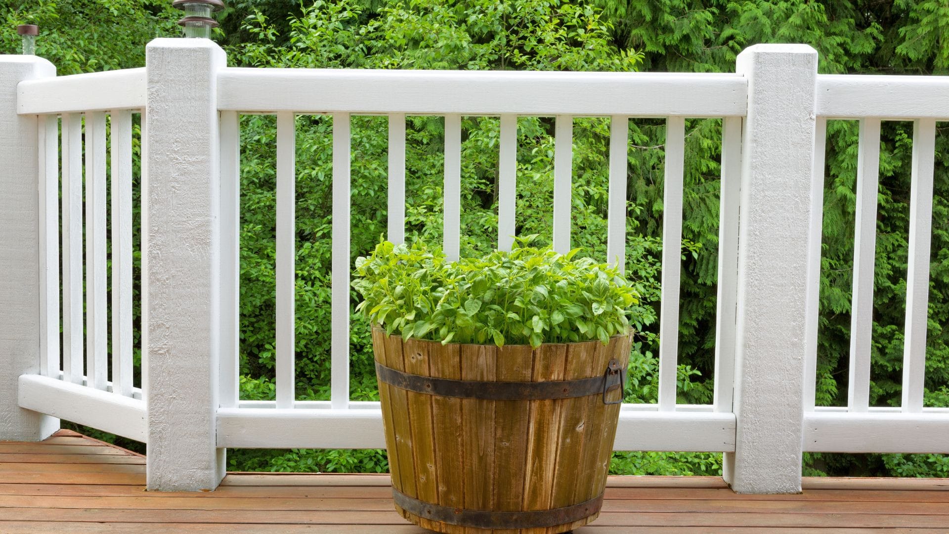 deck planter